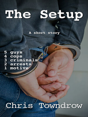 cover image of The Setup